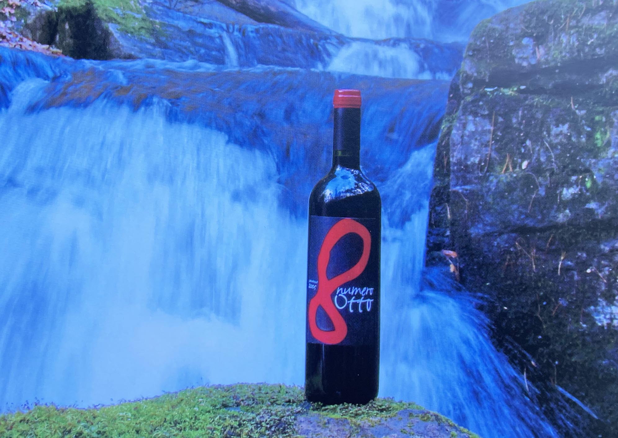 Creative Wine