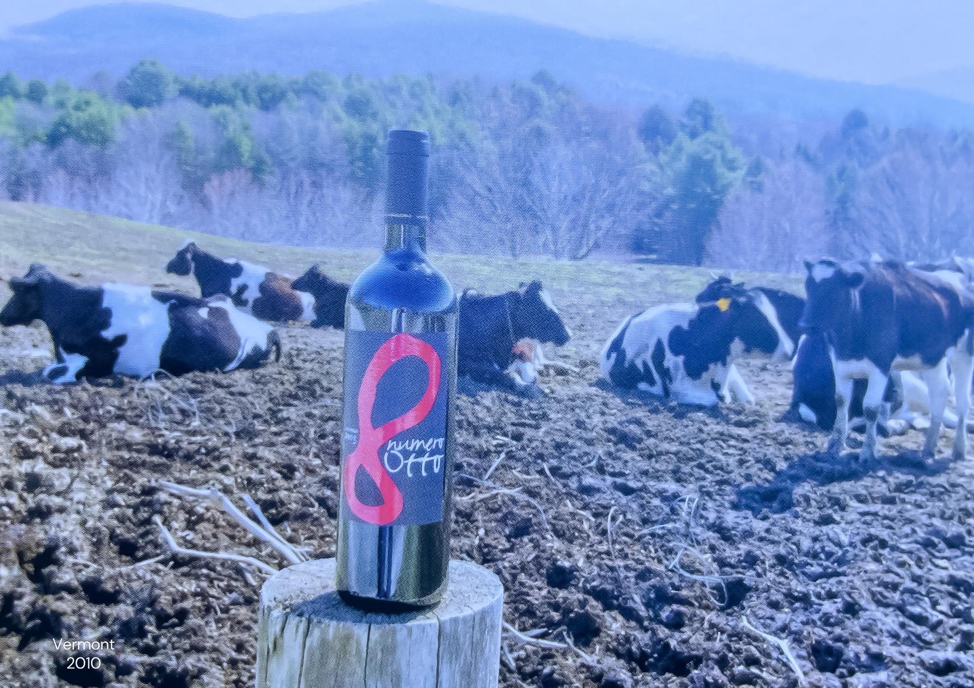 Creative Wine