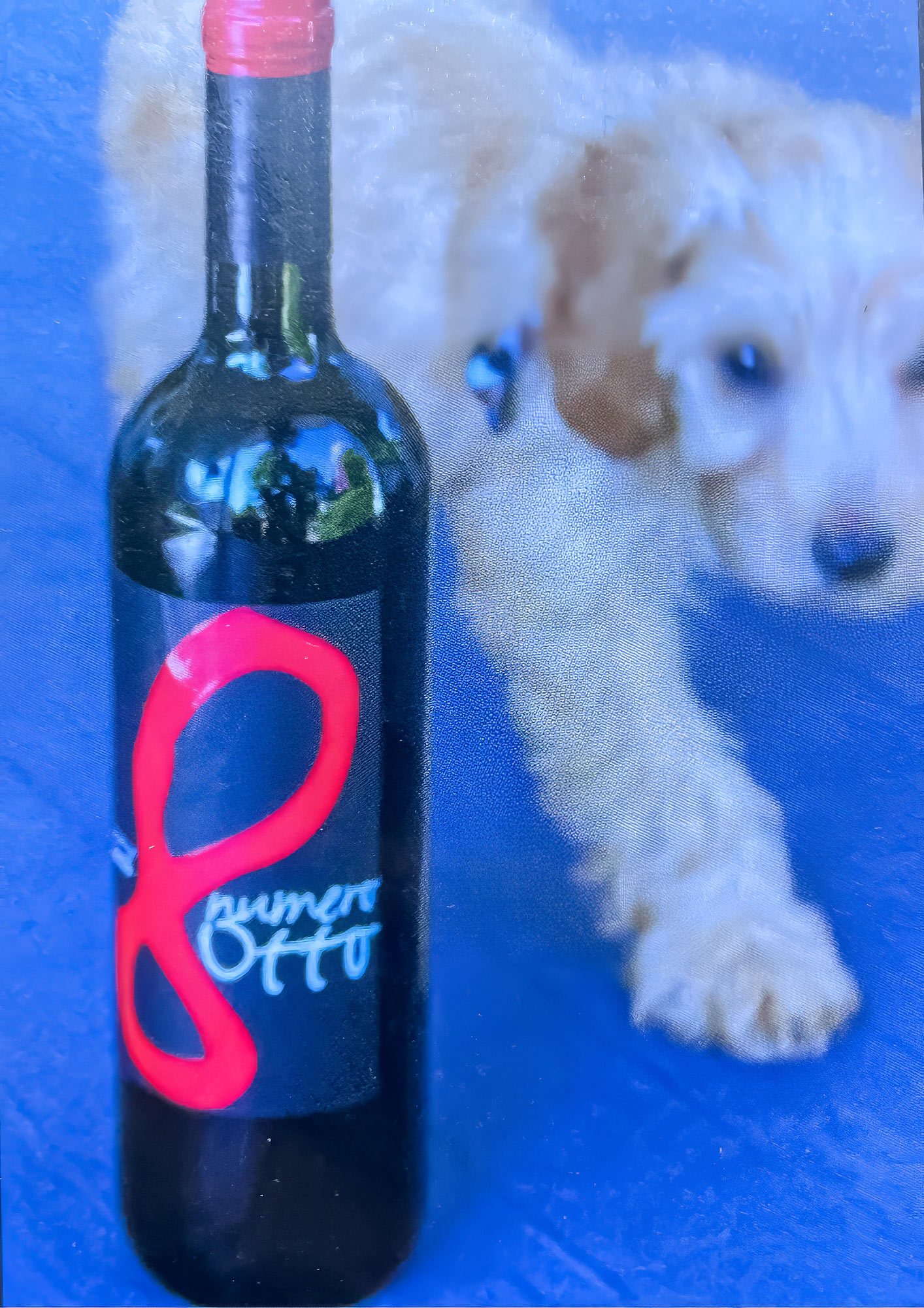 Creative Wine