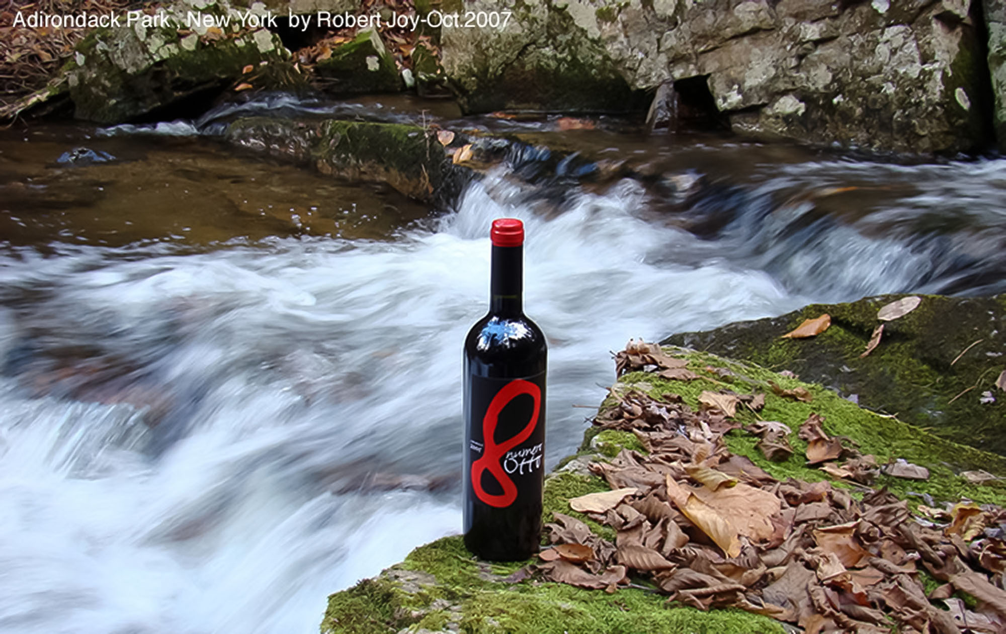 Creative Wine