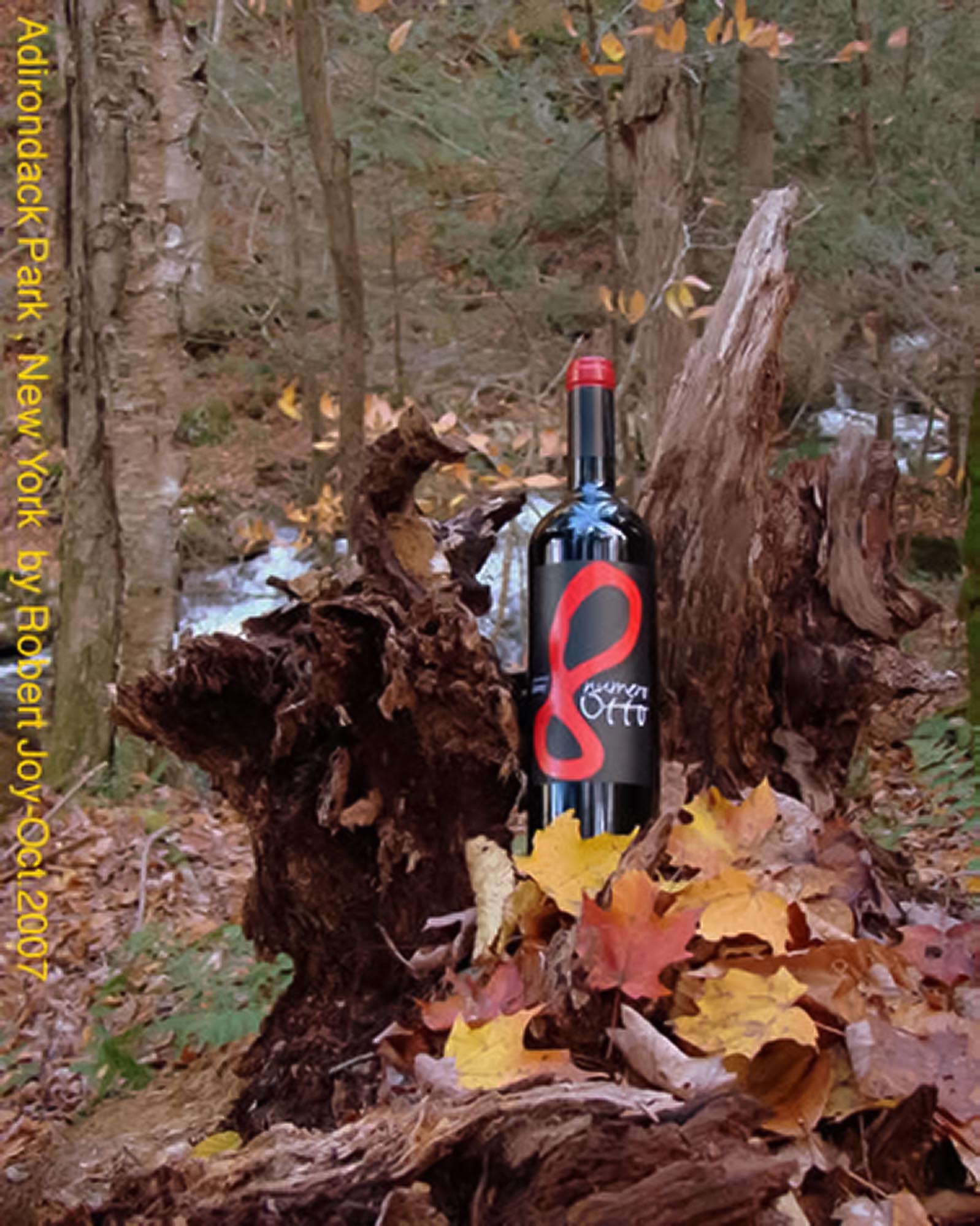 Creative Wine