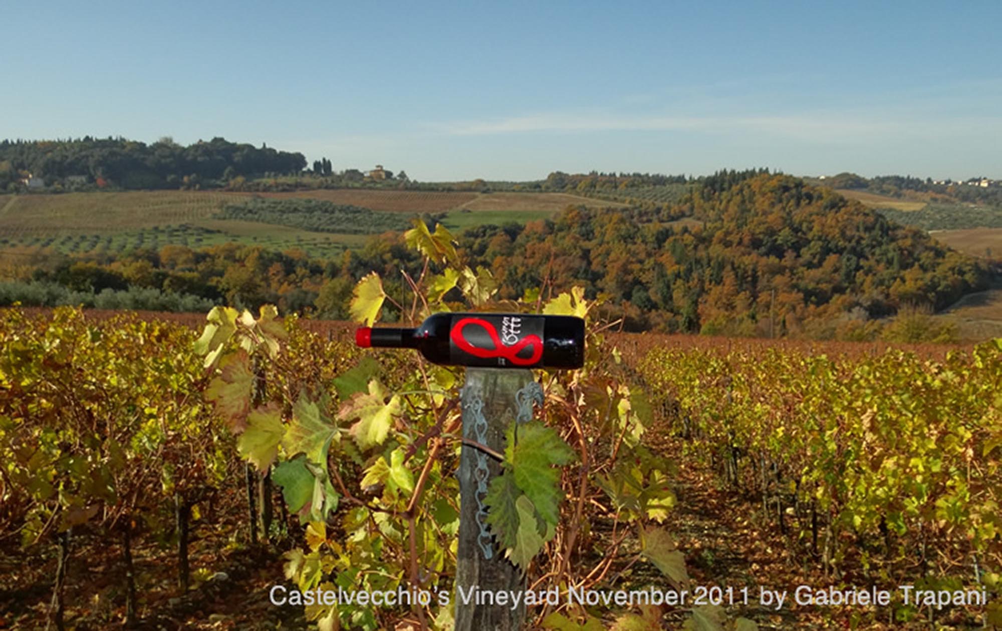 Creative Wine