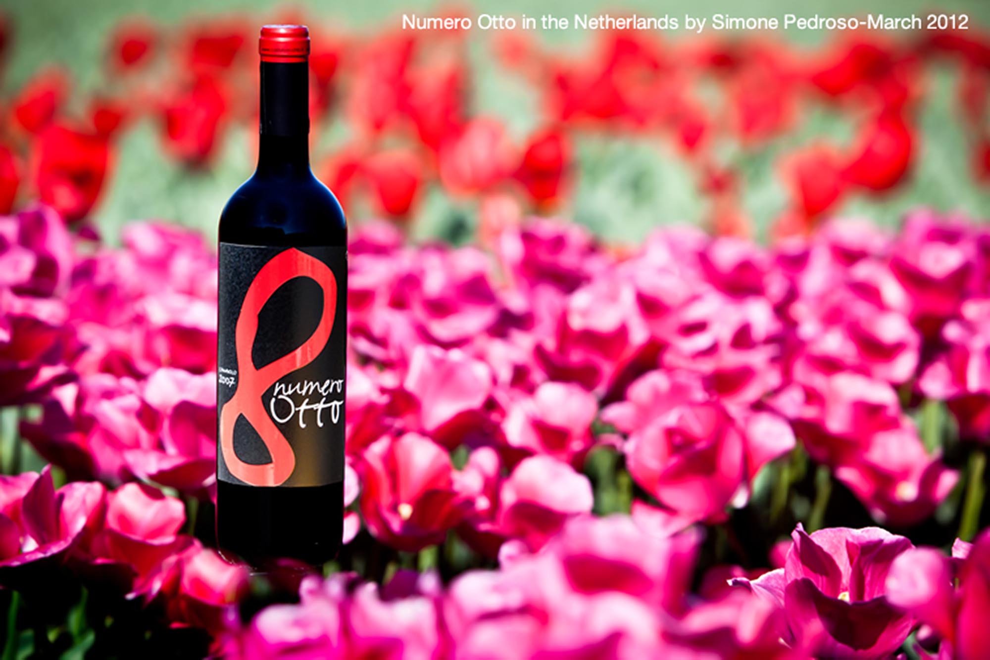 Creative Wine